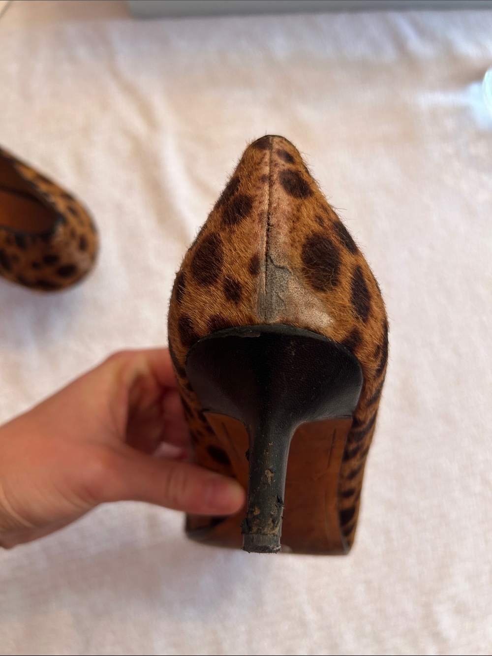 Givenchy Leopard-Print Pointed Toe Heels in Brown and Black - Picture 12 of 13